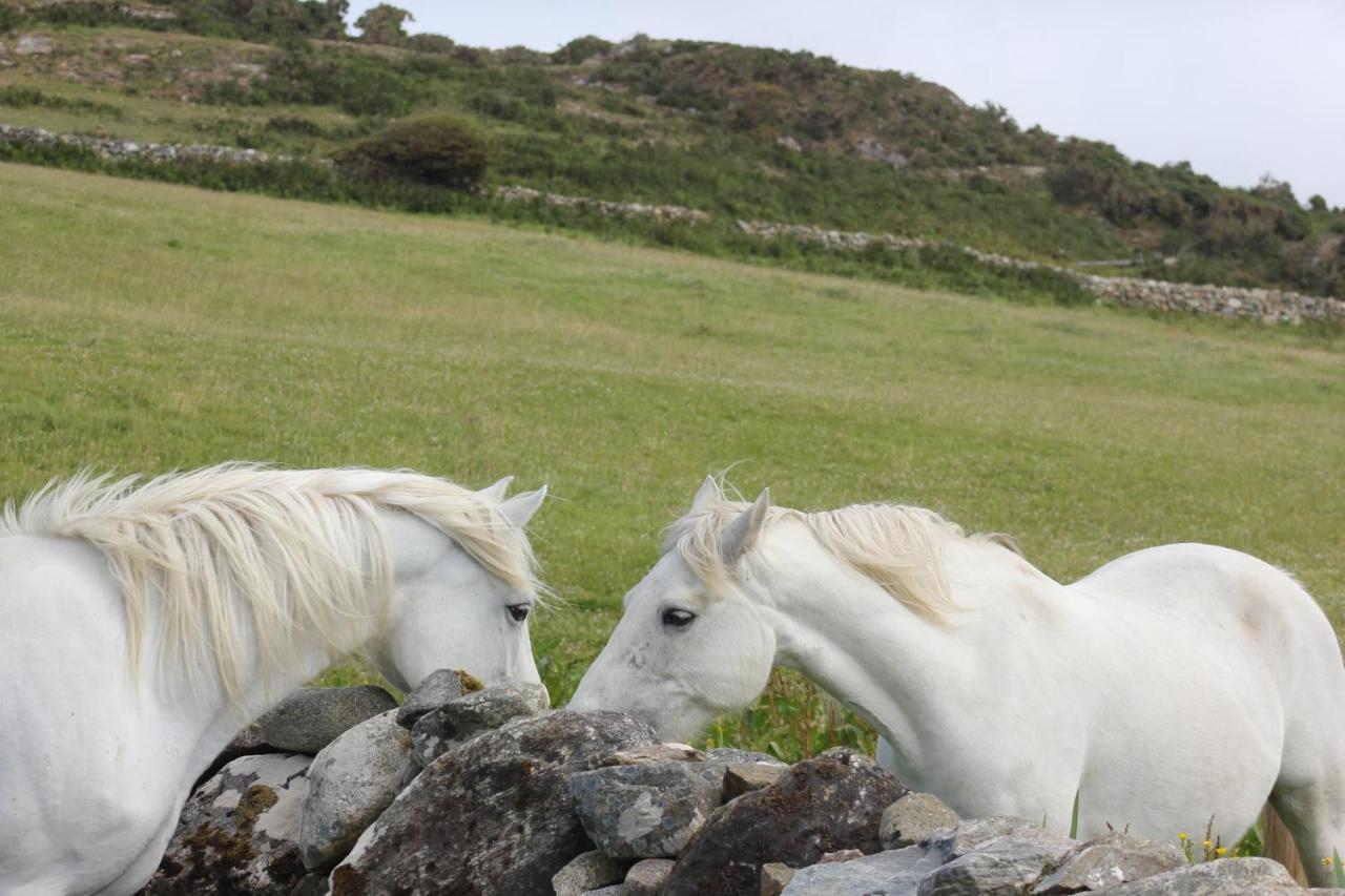 Clifden Bay Lodge ภายนอก รูปภาพ
